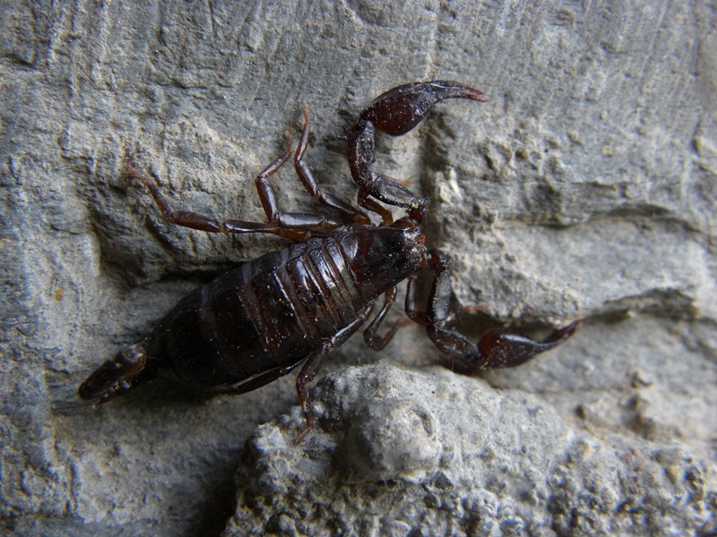 DSCN5657.JPG